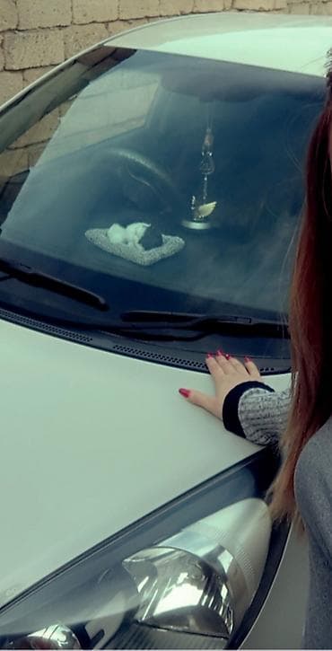 водитель такси: Salam axşamnız xeyir şexsi sürücü işi axdaram qadın. Kişi ferg etmez — 1