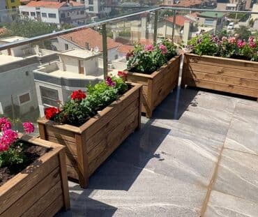 taxta dibçək: Restoranlar üçün dibçək qiymətlər fərqlidir Qiymət şərti qiymətdir — 7