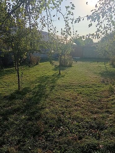 дачи в баку аренда: 100 м², 3 комнаты, Без бассейна, Газ — 2