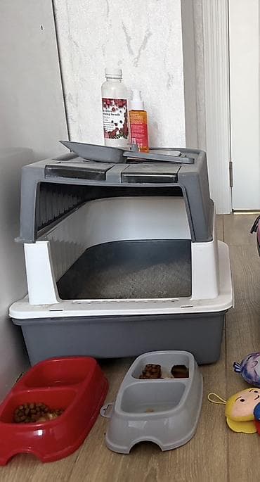 pisik yuvaları: Pisik tualeti.Temudan baha alınıb cox az istifade olunub tezedir yarı — 2