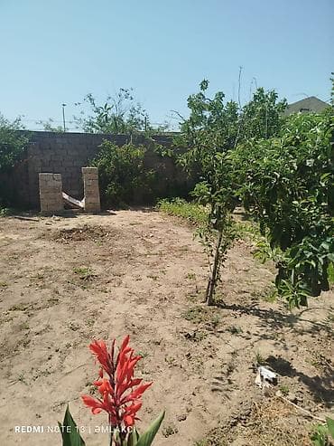 rayonlara: 3 sot, Tikinti, Maklerlər narahat etməsin, Kupça (Çıxarış) — 2