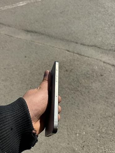 apple 5 s: IPhone 15 Pro Max, 256 GB, Gümüşü, Face ID — 3