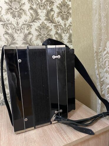 7 ci sinif riyaziyyat test toplusu pdf: Akustik Akkordeon — 3