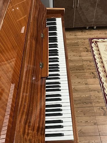 Велоаксессуары: Пианино, Кубань, Акустический, Б/у, Самовывоз — 4