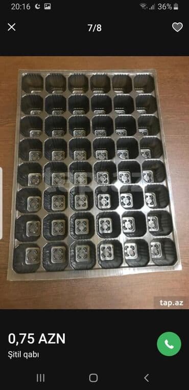 Bitkilər üçün dibçəklər