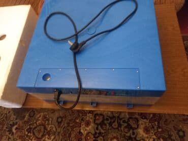 услуги инкубатора в бишкеке: Для всех видов птиц — 4