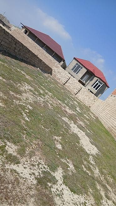 torpag satisi: 3 sot, Tikinti — 2