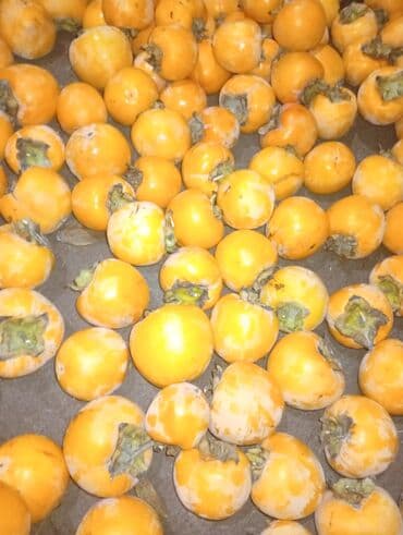 Digər qida məhsulları: Xurma (şahdərəyə) – toplu satış - Şəkillərdə gördüyünüz kimi bol — 5