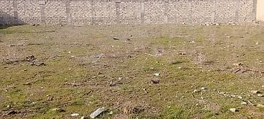 bilgəh ev: 12 sot, Mülkiyyətçi, Kupça (Çıxarış) — 1