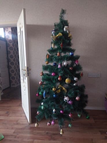 qarlı şam və küknar ağacları: Yeni il ağacları — 3