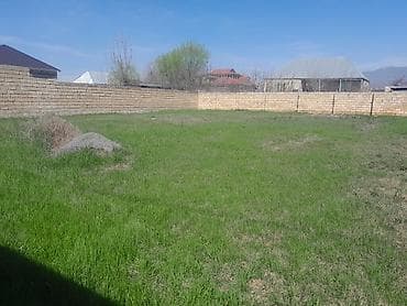 6 sot, Tikinti, Mülkiyyətçi, Kupça (Çıxarış)