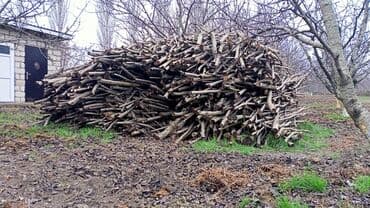 islenmis sifer satilir: 1 Qazel Quru Fındiğ Odunu satılır. Fikri ciddi — 2