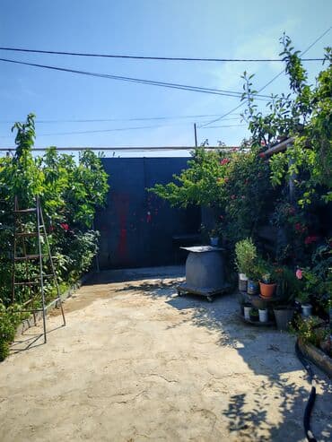 Yelləncəklər: Hövsan Zeytun qesebesi Beton yoluna 5deqiqelik məsafə.Binə və — 2