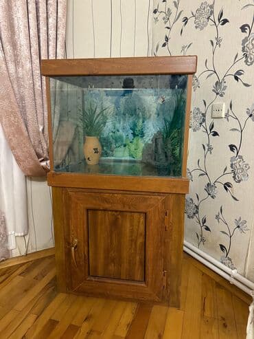 купить аквариум в баку: Akvariumlar boyuk-400.Balaca-300 — 4