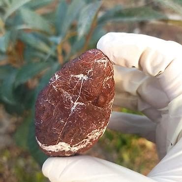 sitrin daşı: Təbii Jasper daşı Satılır 💎 - Material: təbii jasper (yarıqiymətli — 3