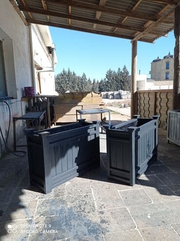 Digər bitkilər: Bir başa sexdən.Sex qiymətinə. ♦️Endrim 2025 il sonu ▶️İstenilən — 2