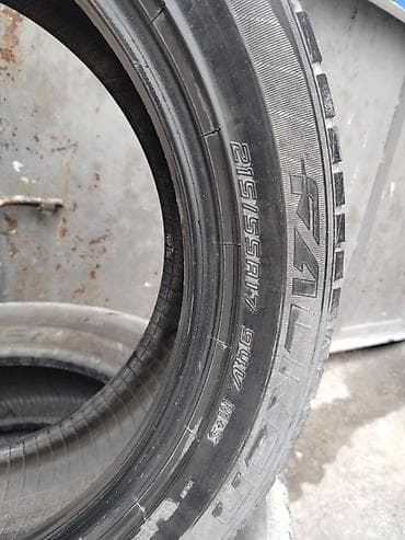 torros disk: Şin Falken 215 / 55 / R 17 — 2