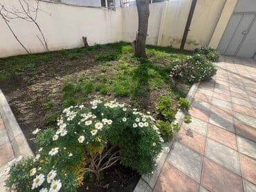 ev certiyojları: NZS 2 otaqlı, 65 kv. m, Yeni təmirli — 6