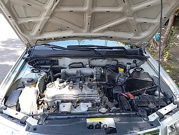 Nissan Sunny: 1.6 l | 2008 il Sedan — 8
