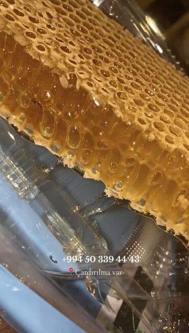 bal: 100% Tam Təbii bal. Endirim: İlk defe alanlara 10% endirim. 4kq — 3