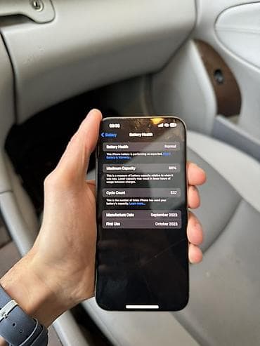 IPhone 15 Pro Max, 256 GB, Gümüşü, Barmaq izi, Face ID