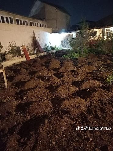 roza guller: Salam aleykum Qara torpağ meşə torpağı şamaxı ismayilli ərazılərindən — 9