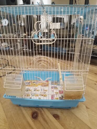 Yemlər: Dalmat çöl quşu (buda ilə birlikdə qəfəsli) Məhsulun təsviri: - Növ — 2