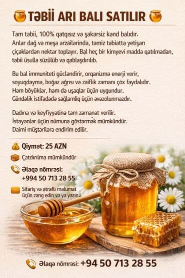Şirniyyat məhsulları: Təbii arı balı - 100% təbii, qatqısız və şəkərsiz kənd balı - Arılar — 3