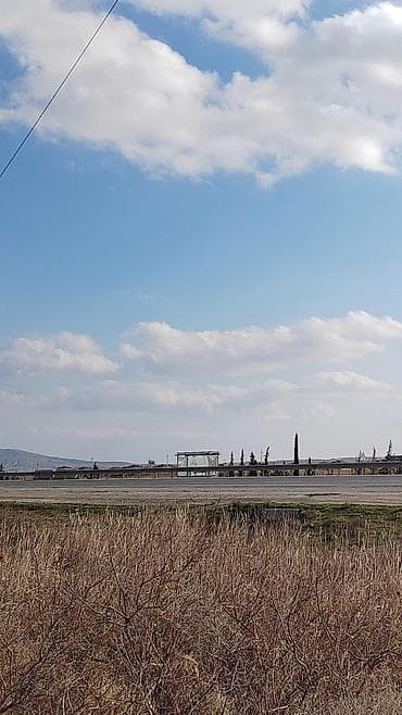 fatmayıda torpaq: Biznes üçün — 1