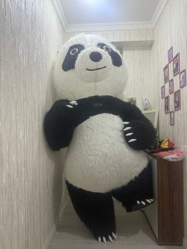 приют для животных в баку: -parad, mağaza açılışı, uşaq şənlikləri, ad günləri, fotozonalarda — 1