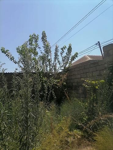 7 gozel gulu: Torpaq binə qəsəbəsi zavod yolunda yerləşir. Torpaq sahəsi 2.5 sot — 2