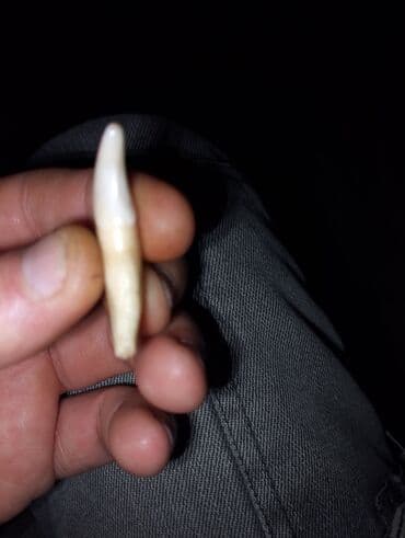 Toy paltarları və aksesuarları: Kulon, Heyvanlar, Qaşsız — 2