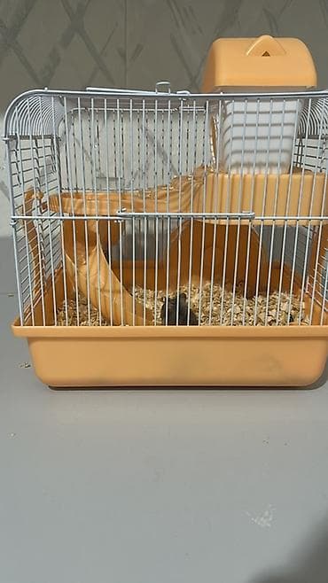 Heyvanlar üçün mallar: Hamster üçün tam avadanlıqlı qəfəs dəsti çinsi qızdı - Material — 4