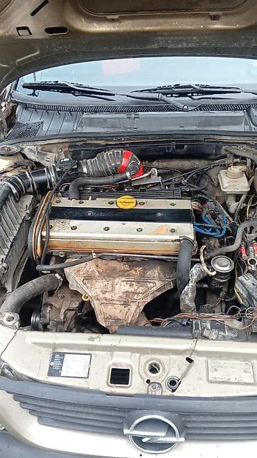 disk satışı: Opel Vectra sedan - Kuzov: 4 qapılı sedan, bej rəng - Mühərrik — 8