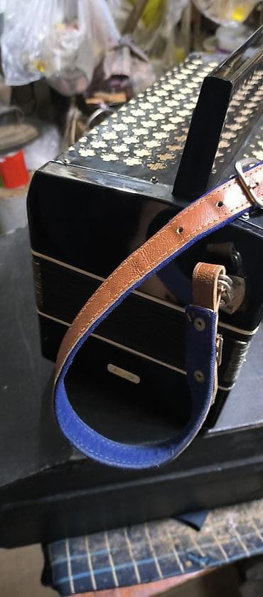 akkardeon: Akustik Akkordeon, Yeni — 4