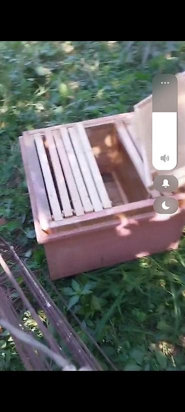 Mal-qara: Arı pətəyi (taxta korpuslu) - Material: qalın taxta lövhələrdən — 8