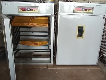 incubator cuceleri: 1500 yumurta, Türkiyə, Tam avtomat, Bütün növ quşlaq üçün, Zəmanət ilə — 2