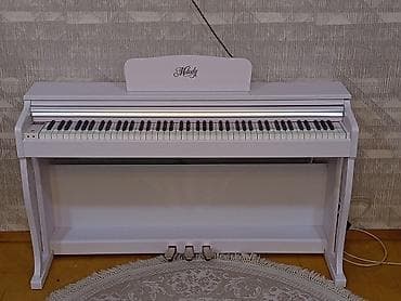 elektro gitarlar: Elektron Pianino satilir 999azn. Demek olar ki islenmeyib. Unvan — 1