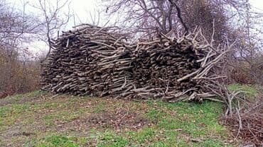 lalafo ikinci el: 3 Qazel Quru Fındiğ Odunu satılır. Fikri ciddi — 4