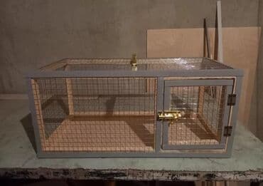 купить клетку для морской свинки: Dovşan,şinşila,bildirçin,cücə,xamyak,pişik,quş ve s kimi ev heyvanlari — 9
