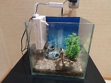 Akvarium dəsti - Şəffaf şüşə akvarium, kub formalı - Yuxarıdan — 3
