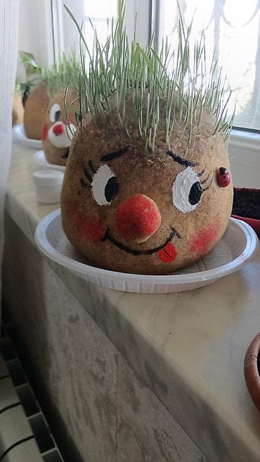 Fiqur, rəng - Qəhvəyi