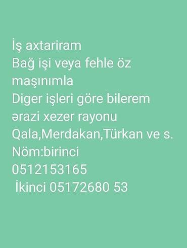 Iş axtariram