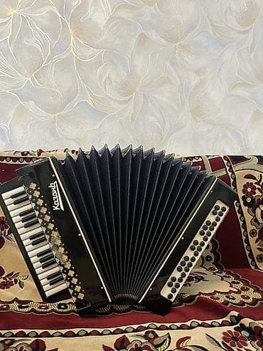 akkardion: Akustik Akkordeon — 2