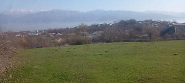 polad hesimov kucesi: 13 sot, Tikinti, Mülkiyyətçi, Kupça (Çıxarış) — 3