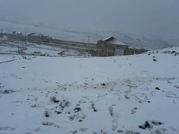 xoçəsən: 8 sot, Tikinti, Mülkiyyətçi, Kupça (Çıxarış) — 2