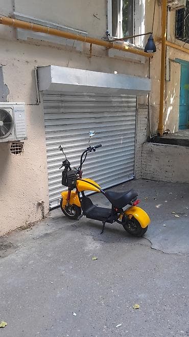 Şəhər içi rahat hərəkət üçün elektrik skuter - Güclü elektrik
