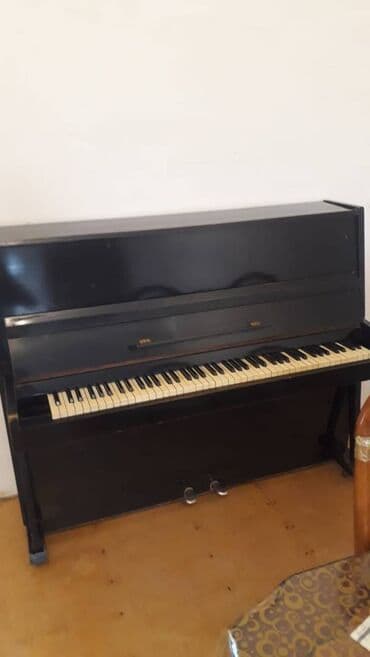 royal cat jakne: Ukrayna. Hər şeyi işləyir — 4