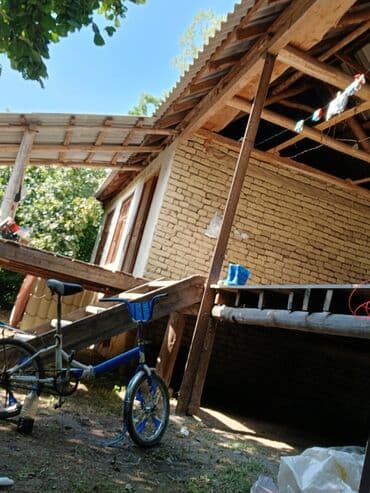 findiq ləpəsi: Salam bağ Qəbələ rayon Nic qəsəbəsində dir bağ 67 sotdan ibarətdir 170 — 11