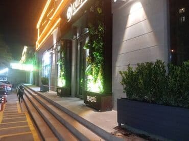 dibcek gullerinin adlari: Bu taxda dipçekin ölçusu 100x30x55 Bu standart alinan ölçudur — 17